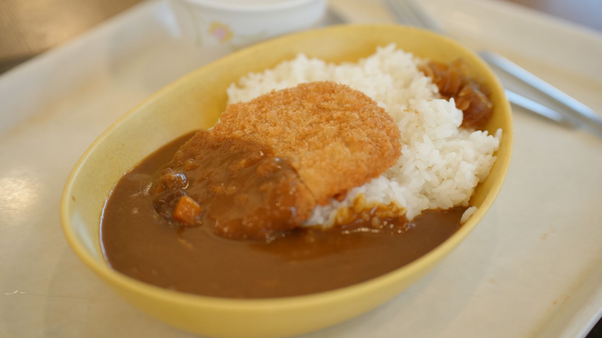 学食体験(有料)