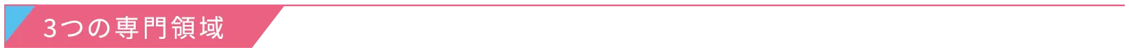 ３つの専門領域